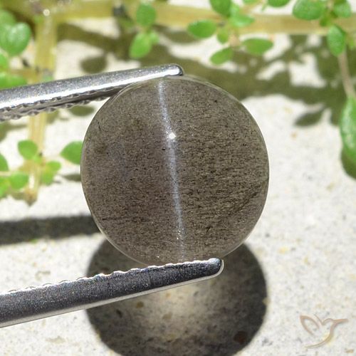 3.94克拉天然棕色Cat's Eye Scapolite，椭圆形切割，9.6×9.2毫米，半透明