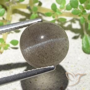 3.94克拉天然棕色Cat's Eye Scapolite，椭圆形切割，9.6×9.2毫米，半透明