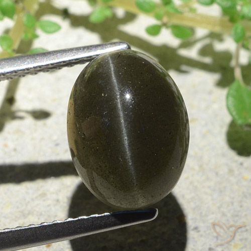 4.66克拉天然棕色Cat's Eye Scapolite，椭圆形切割，11.1×8.3毫米，半透明