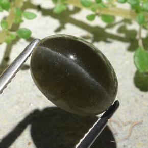 4.66克拉天然棕色Cat's Eye Scapolite，椭圆形切割，11.1×8.3毫米，半透明