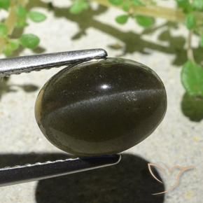 4.66克拉天然棕色Cat's Eye Scapolite，椭圆形切割，11.1×8.3毫米，半透明
