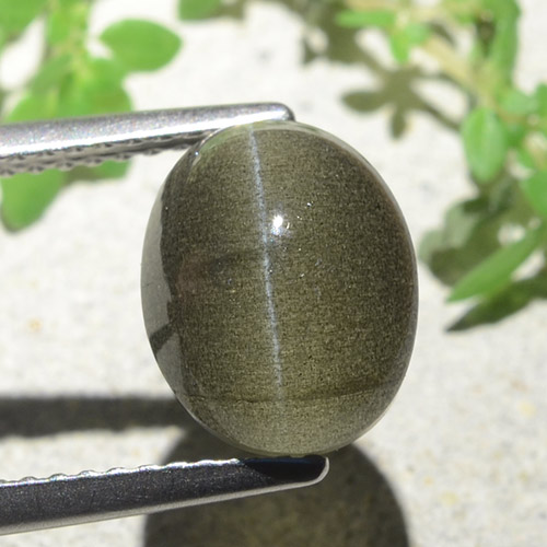 4.00克拉天然棕色Cat's Eye Scapolite，椭圆形切割，10×8毫米，半透明