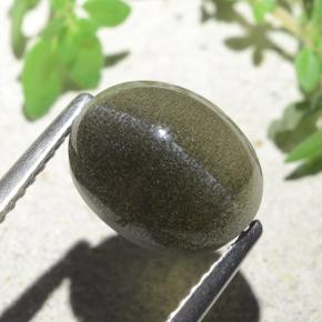 4.00克拉天然棕色Cat's Eye Scapolite，椭圆形切割，10×8毫米，半透明