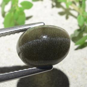 4.00克拉天然棕色Cat's Eye Scapolite，椭圆形切割，10×8毫米，半透明