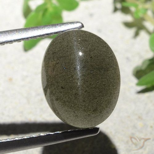4.55克拉天然猫眼方柱石，椭圆形，半透明
