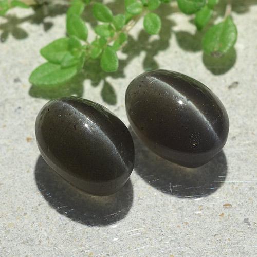 6.12天然黑色Cat's Eye Scapolite，椭圆形切割，9.6×7毫米，半透明