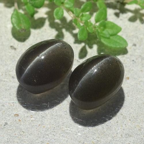 6.12天然黑色Cat's Eye Scapolite，椭圆形切割，9.6×7毫米，半透明
