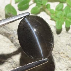 2.56克拉天然黑色Cat's Eye Scapolite，椭圆形切割，10.2×7.5毫米，半透明