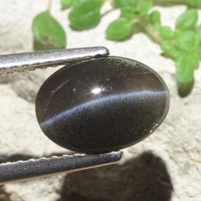 2.56克拉天然黑色Cat's Eye Scapolite，椭圆形切割，10.2×7.5毫米，半透明