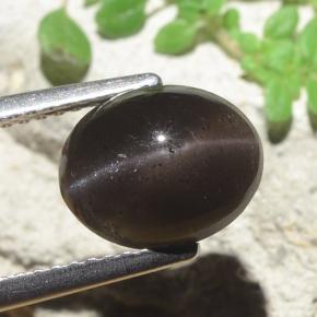 3.42克拉天然猫眼方柱石，椭圆形切割，半透明