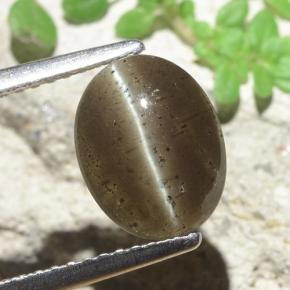 2.60克拉天然猫眼方柱石，椭圆形切割，半透明