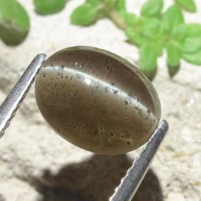 2.60克拉天然猫眼方柱石，椭圆形切割，半透明