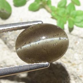 2.60克拉天然猫眼方柱石，椭圆形切割，半透明