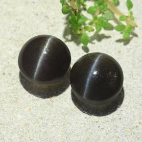 4.77天然棕色Cat's Eye Scapolite，圆形切割，8.21毫米，半透明