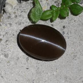 2.03克拉天然猫眼方柱石，椭圆形切割，半透明