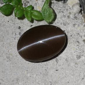 2.03克拉天然猫眼方柱石，椭圆形切割，半透明