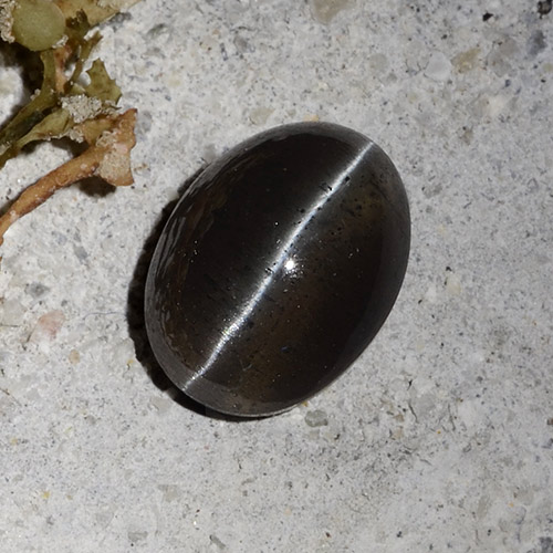 2.30克拉天然猫眼方柱石，椭圆形切割，半透明