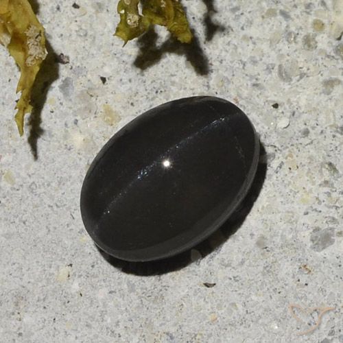 1.48ct 天然 黑色 猫眼方柱石, 椭圆形, 半透明