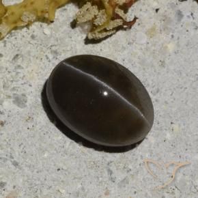 1.35克拉天然猫眼方柱石，椭圆形切割，半透明