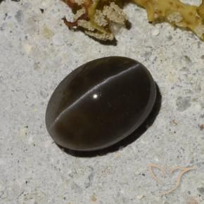 1.35克拉天然猫眼方柱石，椭圆形切割，半透明