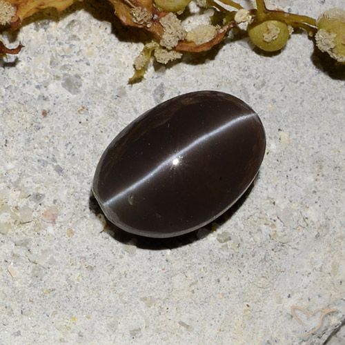 1.81ct 天然 暗棕色 猫眼方柱石, 椭圆形, 半透明