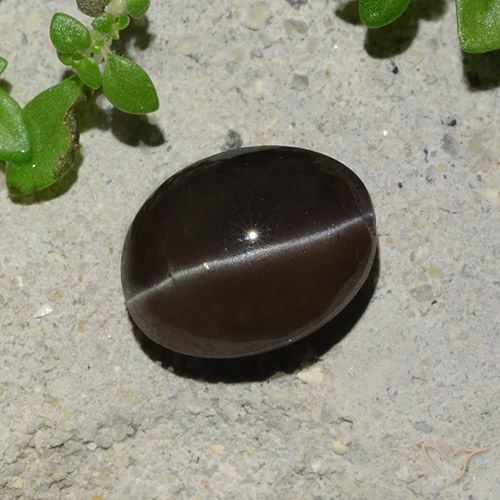 2.43克拉天然猫眼方柱石，椭圆形，半透明