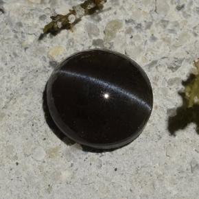 1.14克拉天然黑色Cat's Eye Scapolite，椭圆形切割，6.5×6毫米，半透明