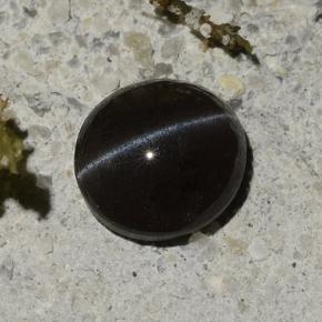 1.14克拉天然黑色Cat's Eye Scapolite，椭圆形切割，6.5×6毫米，半透明