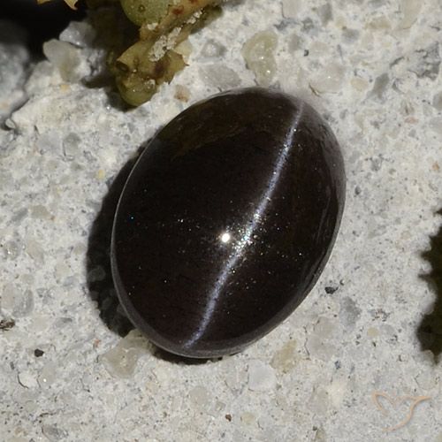 1.47克拉天然黑色Cat's Eye Scapolite，椭圆形切割，7.9×5.6毫米，半透明