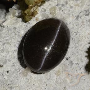 1.47克拉天然黑色Cat's Eye Scapolite，椭圆形切割，7.9×5.6毫米，半透明