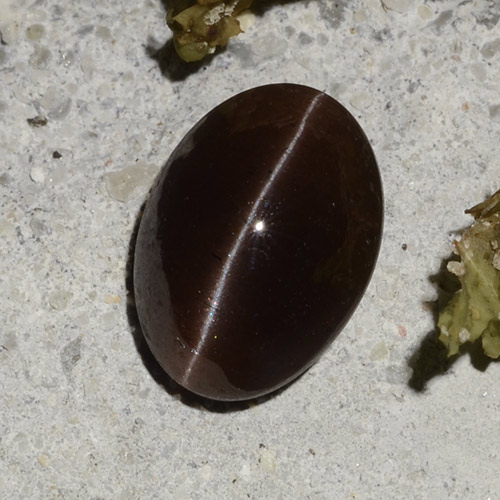 2.16克拉天然棕色Cat's Eye Scapolite，椭圆形切割，9.2×6.7毫米，半透明