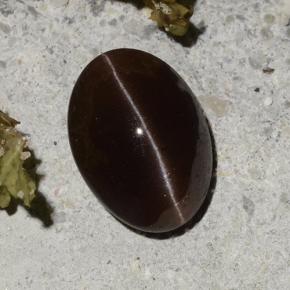 2.16克拉天然棕色Cat's Eye Scapolite，椭圆形切割，9.2×6.7毫米，半透明