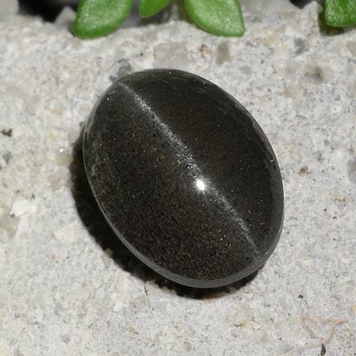 2.15ct 天然 黑色 猫眼方柱石, 椭圆形, 半透明