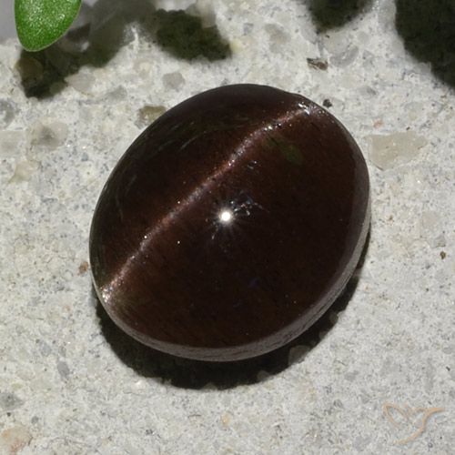 2.04ct 天然 暗棕色 猫眼方柱石, 椭圆形, 半透明