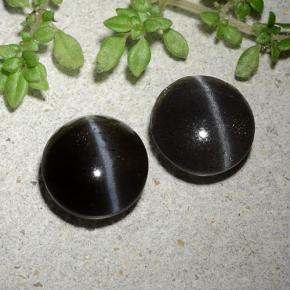 3.46天然黑色Cat's Eye Scapolite，圆形切割，8.31毫米，半透明