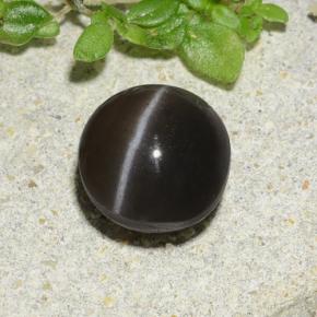 1.96克拉天然猫眼方柱石，圆形切割，半透明