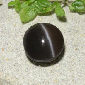 1.96克拉天然猫眼方柱石，圆形切割，半透明