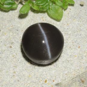 2.49克拉天然黑色Cat's Eye Scapolite，圆形切割，8.07毫米，半透明