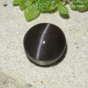 2.49克拉天然黑色Cat's Eye Scapolite，圆形切割，8.07毫米，半透明
