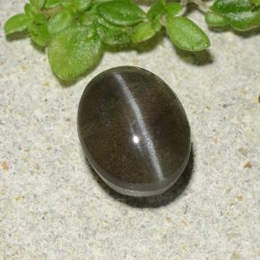 1.46克拉天然黑色Cat's Eye Scapolite，椭圆形切割，7.3×5.7毫米，半透明