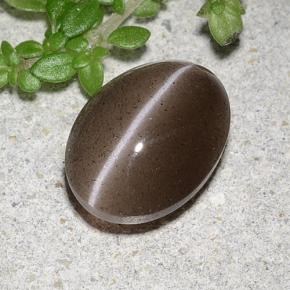 2.20克拉天然棕色Cat's Eye Scapolite，椭圆形切割，9.4×7.1毫米，半透明