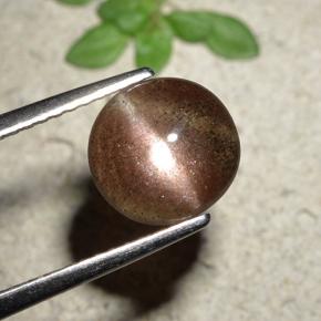 1.76克拉天然棕色Cat's Eye Scapolite，圆形切割，8.36毫米，半透明