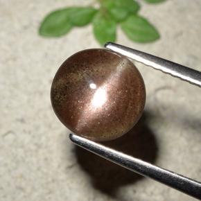 1.76克拉天然棕色Cat's Eye Scapolite，圆形切割，8.36毫米，半透明