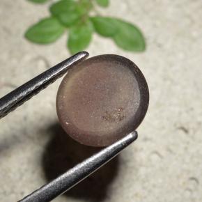1.76克拉天然棕色Cat's Eye Scapolite，圆形切割，8.36毫米，半透明