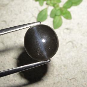 3.23克拉天然黑色Cat's Eye Scapolite，圆形切割，8.93毫米，不透明