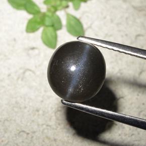 3.23克拉天然黑色Cat's Eye Scapolite，圆形切割，8.93毫米，不透明