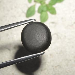 3.23克拉天然黑色Cat's Eye Scapolite，圆形切割，8.93毫米，不透明