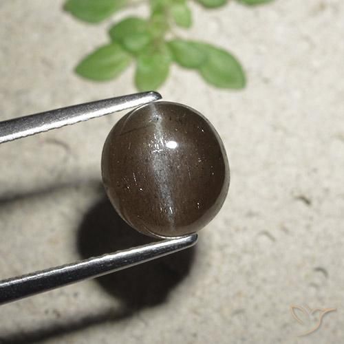 2.56ct 天然 中褐色 猫眼方柱石, 圆形的, 半透明