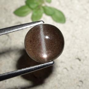 1.80克拉天然棕色Cat's Eye Scapolite，圆形切割，7.84毫米，半透明