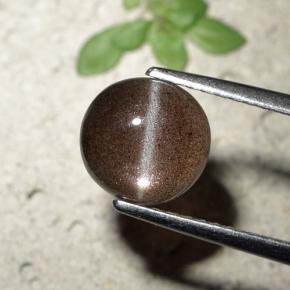 1.80克拉天然棕色Cat's Eye Scapolite，圆形切割，7.84毫米，半透明
